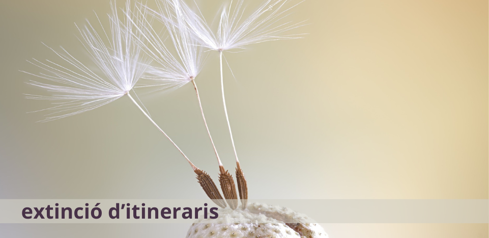 Imatge extinció itineraris WOOLKEE CAT
