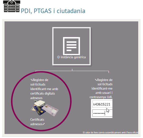 Instància Genèrica SS2