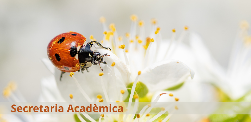 Portada secretaria primavera 2025-26 CAT