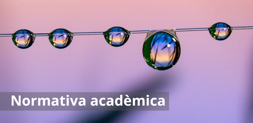 normativa acadèmica 3