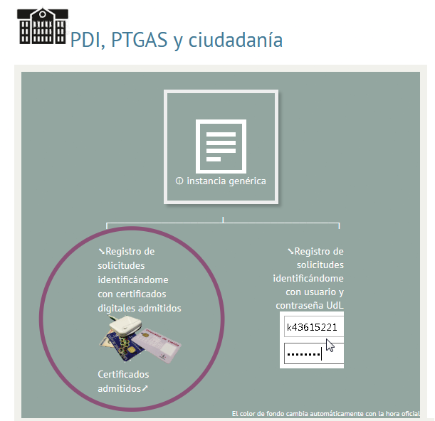 Instancia Genérica SS CAST