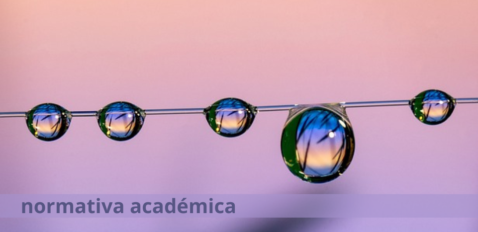 normativa acadèmica Dragon77 CAT